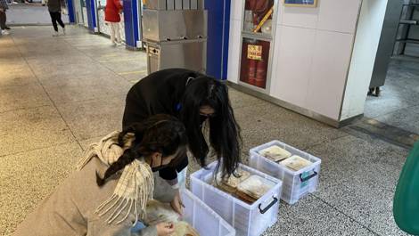 e77ed3602b11188cc660c2c1ef6a6ea